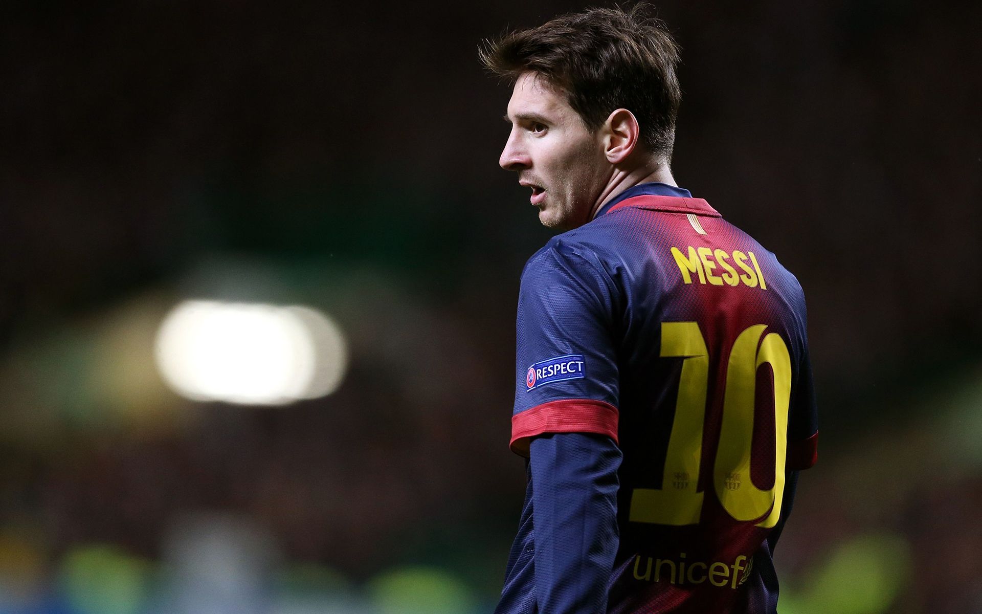 莫耶斯的領 莫耶斯的領