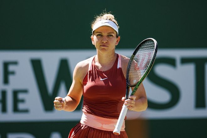 张本智和成 张本智和成